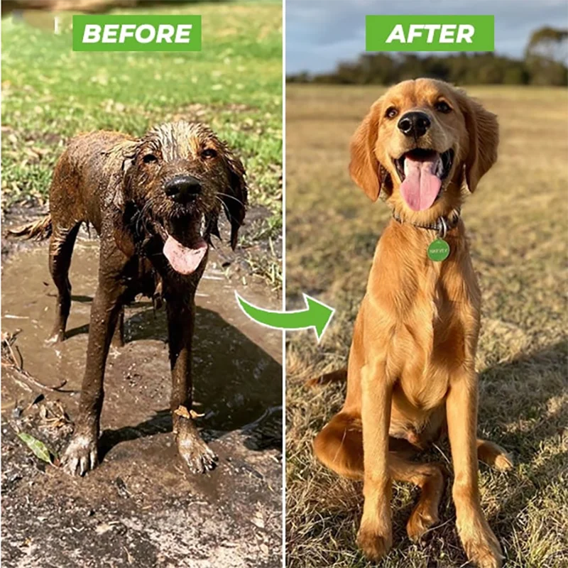 Pet Washer Gun