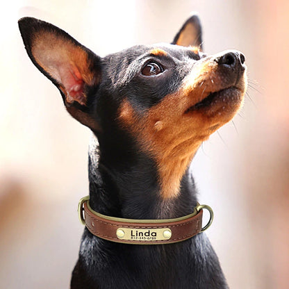 Personalized Leather Custom Dog Collar Soft Padded Dog Collars Durable Pet ID Tag Collar Adjustable for Small Medium Large Dogs