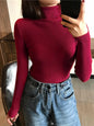 Turtleneck Sweater Womens 2024 Autumn Winter Tops Korean Slim Women Pullover Jumper Knitted Sweater Pull Femme Hiver Truien